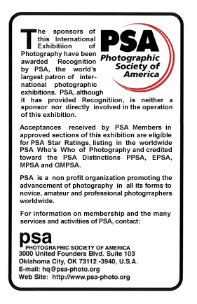 PSA Recognition Image