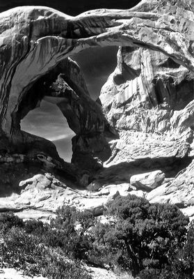 10_2_4_10055.jpg