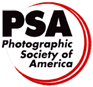 PSA Logo